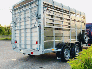 M-TEC Sheep Trailer 12ft with Decks